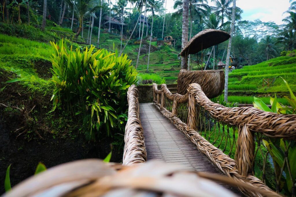 Green scenery in Bali