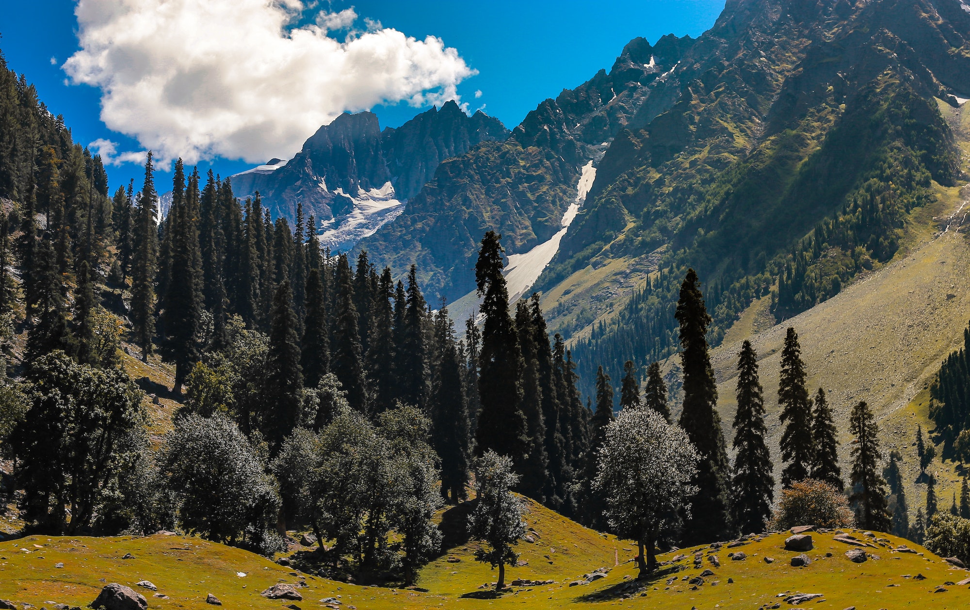 Beautiful Mountain Landscape Of Sonamarg Jammu And Kashmir State India.
