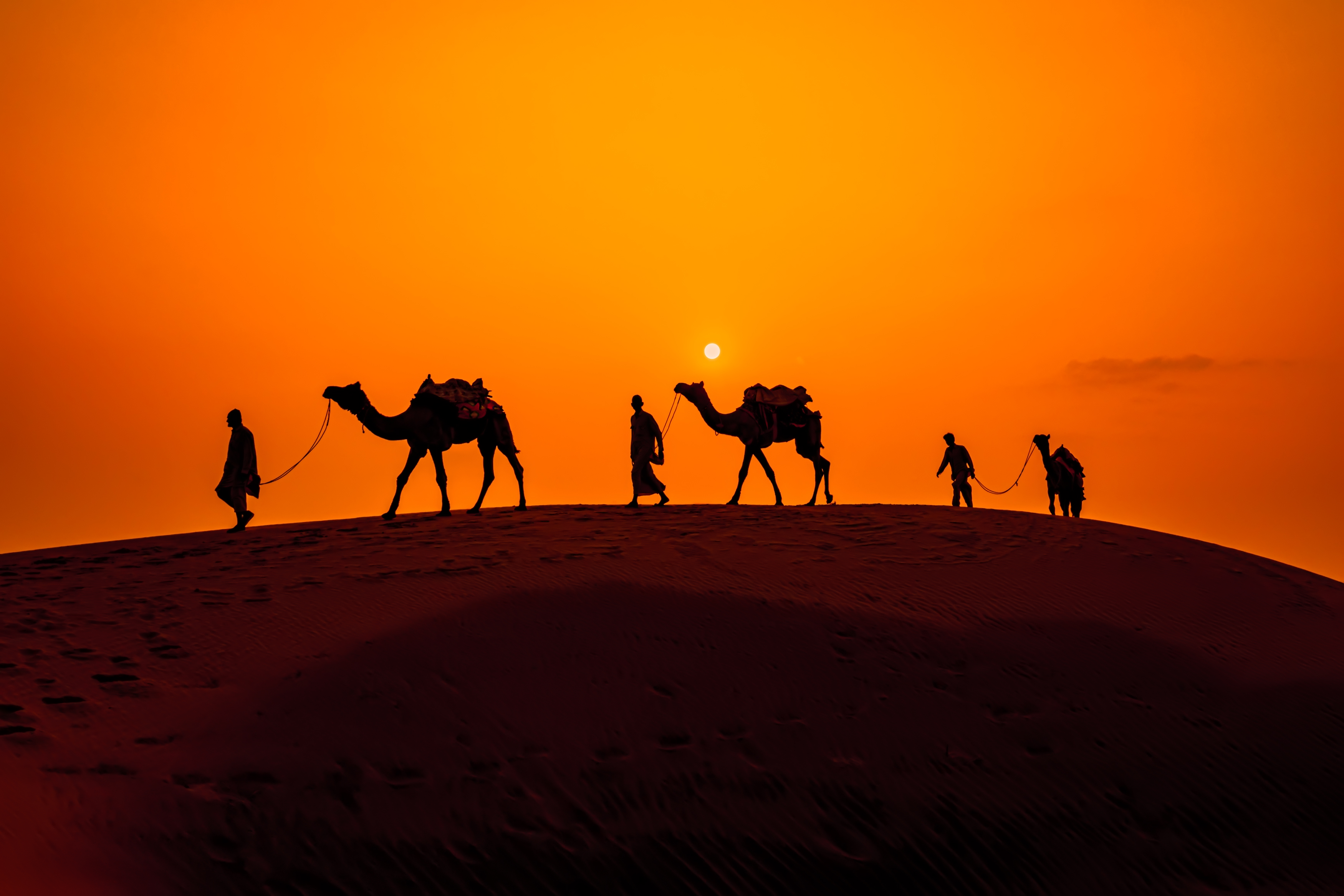 Cameleers, camel Drivers at sunset. Thar desert on sunset Jaisalmer, Rajasthan, India.