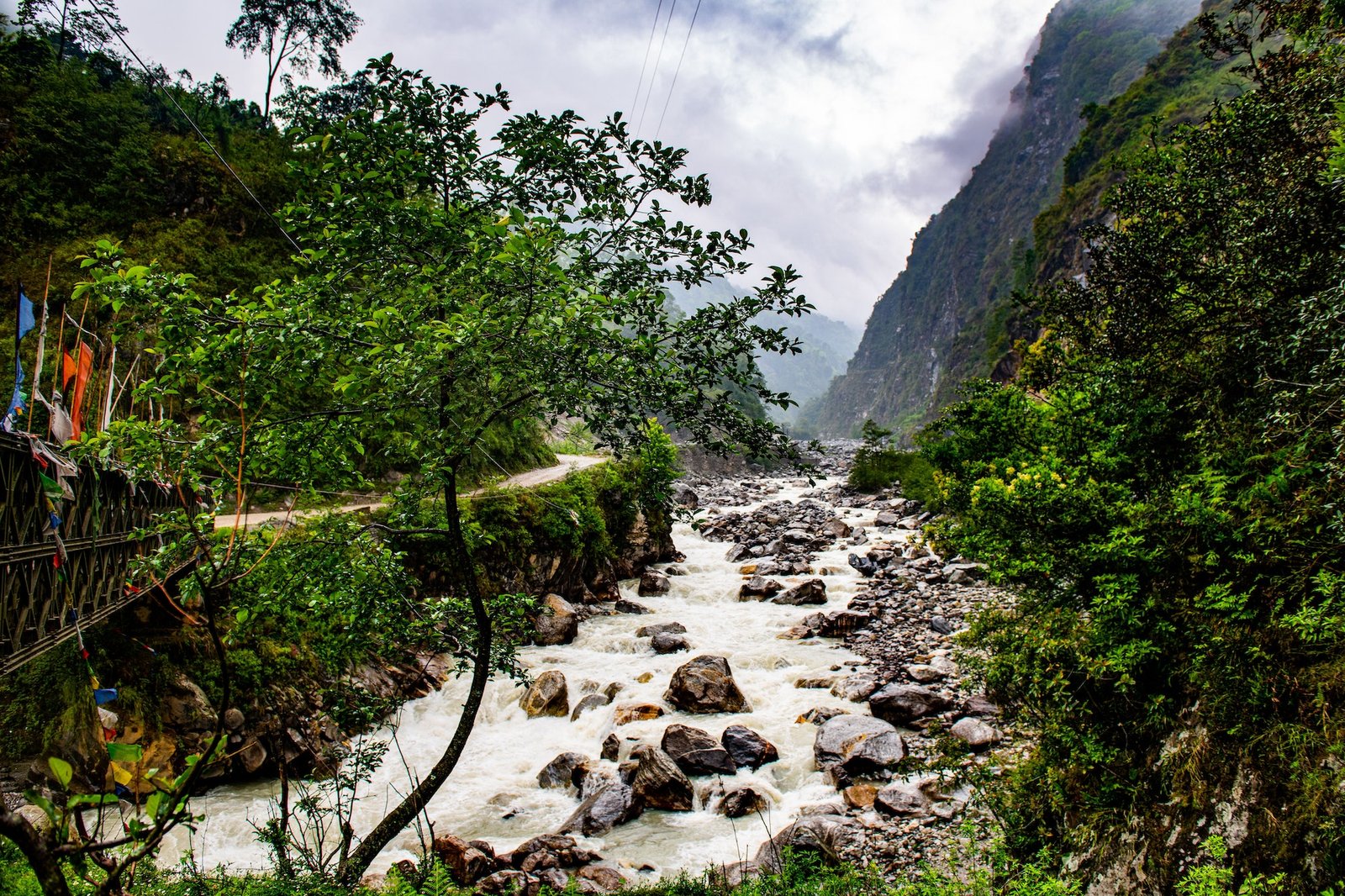 High-angle of a muddy, flowing mountain river in Chopta valley Lachen, Sikkim, India