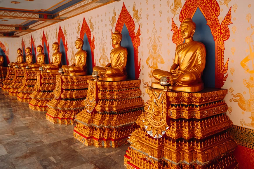 Buddhist Sector Tour Packages